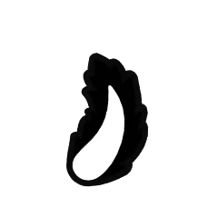 尾巴 6